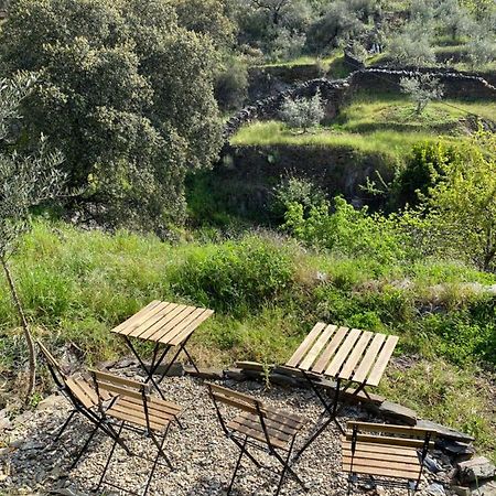 Casas Rurales Prunus Avium Caminomorisco Exteriör bild